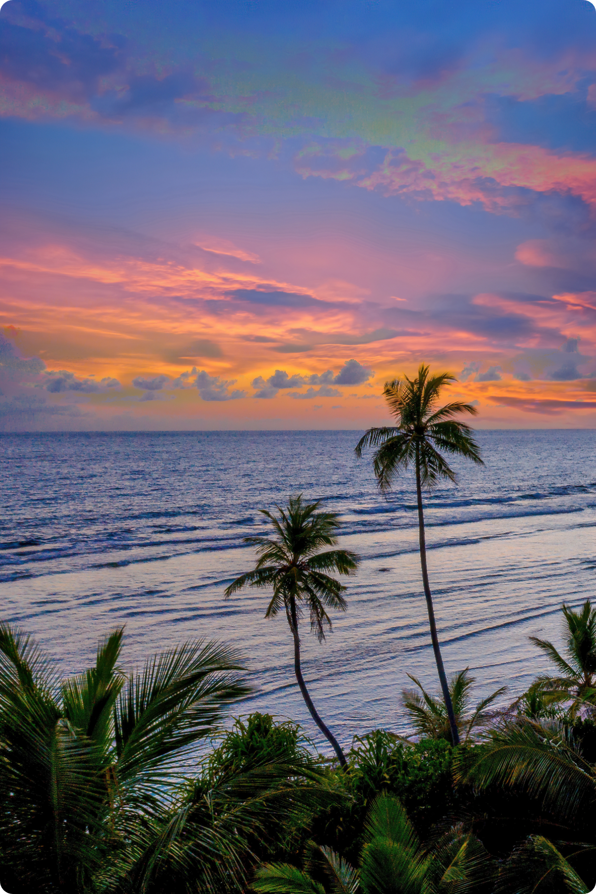 Goa gallery2