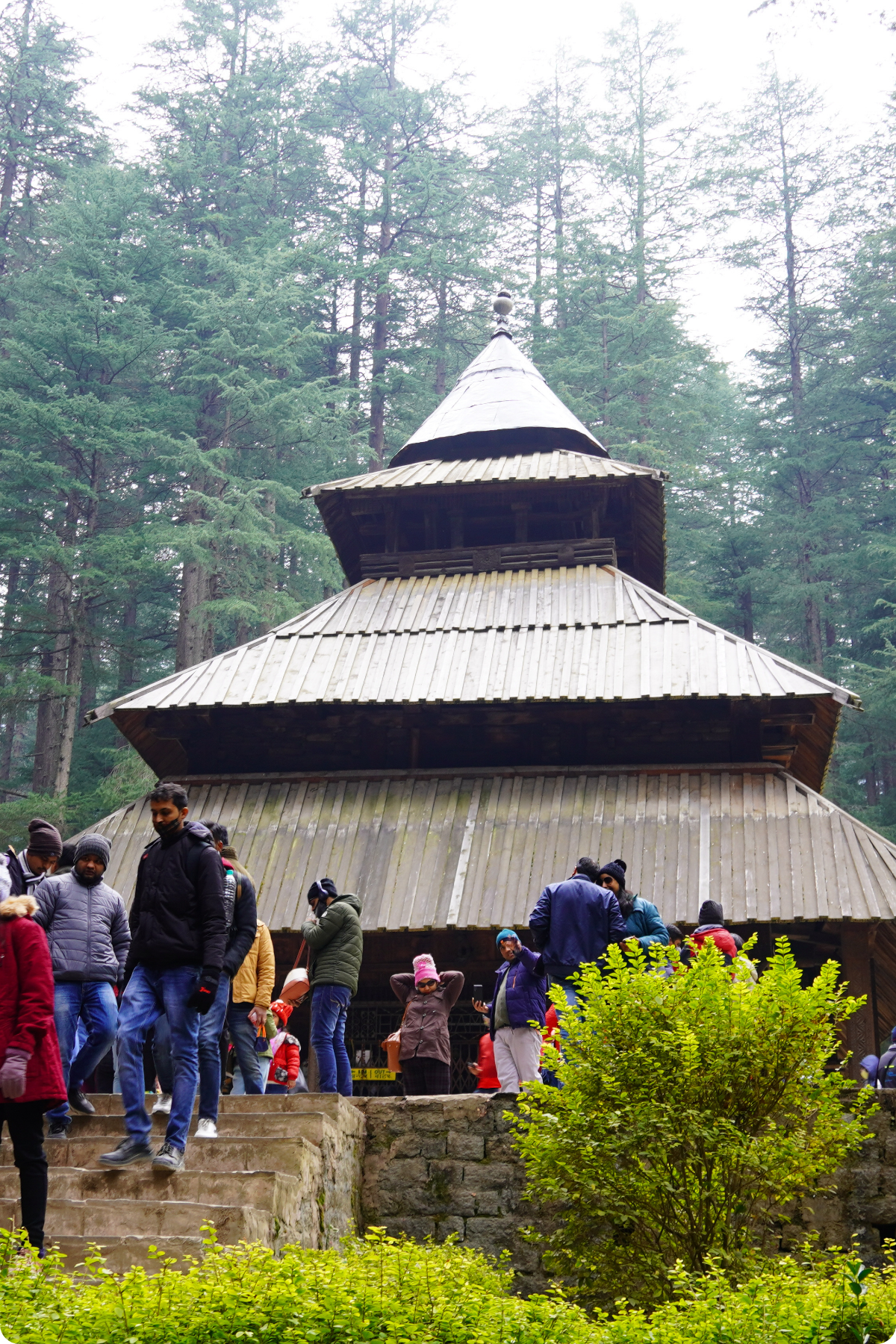 Manali gallery1